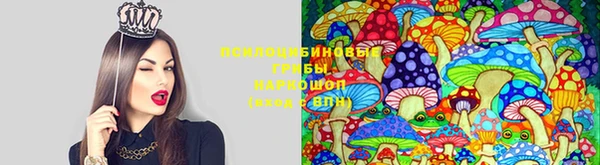 хмурый Алексеевка