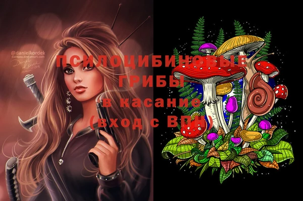хмурый Алексеевка