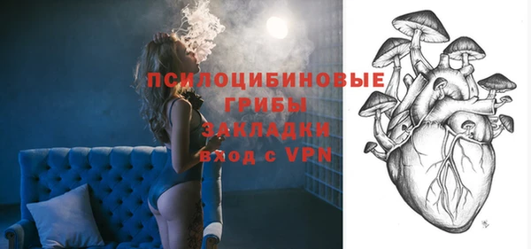 хмурый Алексеевка
