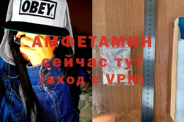 крисы Алзамай