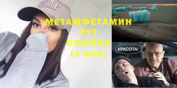 крисы Алзамай