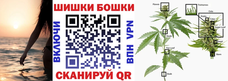 Конопля SATIVA & INDICA  как найти закладки  Миасс 